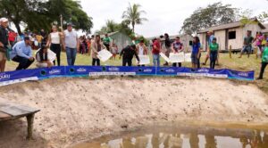 Imagem da notícia - Projeto Muqueu realiza 14ª Soltura de Quelônios no Rio Urupadi, em Maués