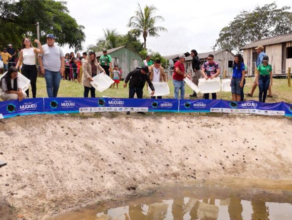 Projeto Muqueu realiza 14ª Soltura de Quelônios no Rio Urupadi, em Maués