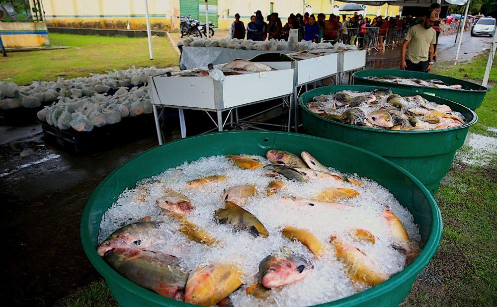 Prefeitura distribui 20 toneladas de peixe para 10 mil famílias de Maués na Semana Santa